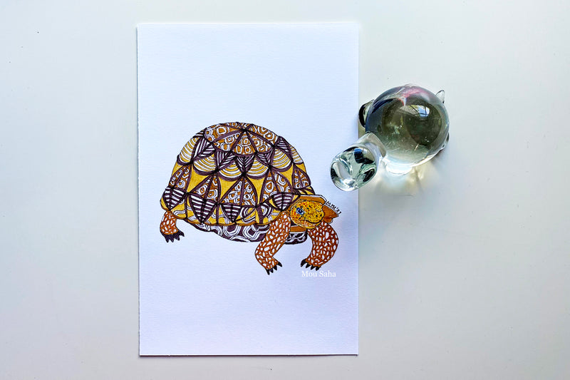 Turtle with patterned shell