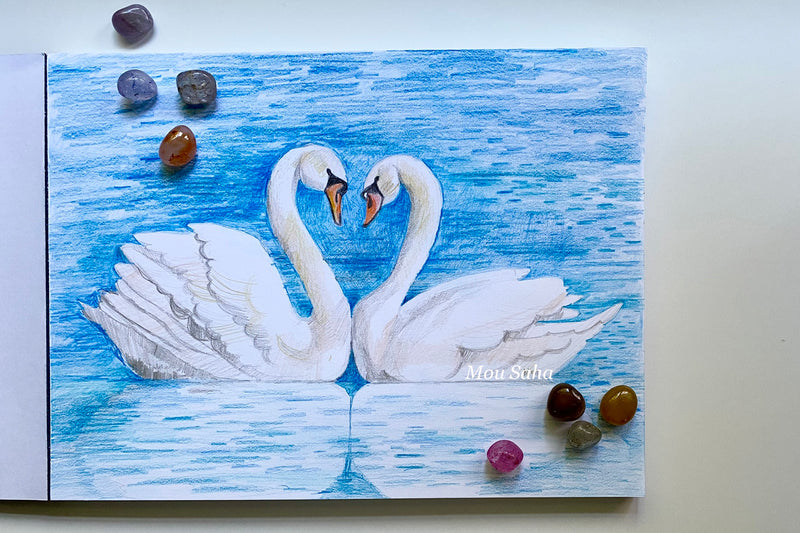 Swan sketch with stones