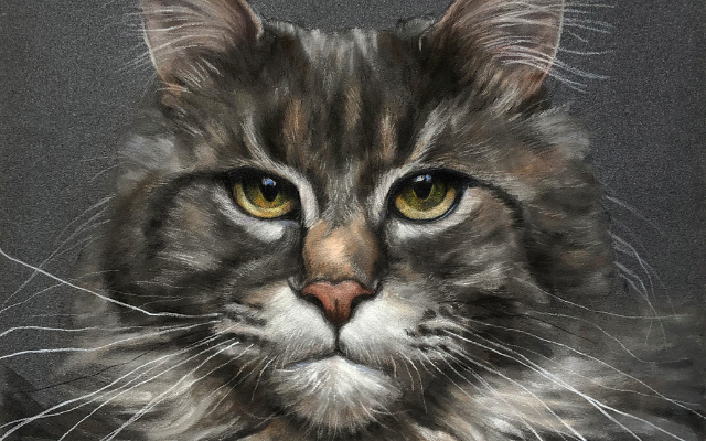 Cat pastel portrait