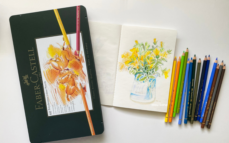 Petunia drawing with Polychromos Color Pencils