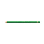 Polychromos® Artists' Color Pencil - #266 Permanent Green - #110266