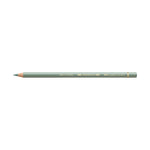 Polychromos® Artists' Color Pencil - #172 Earth Green - #110172