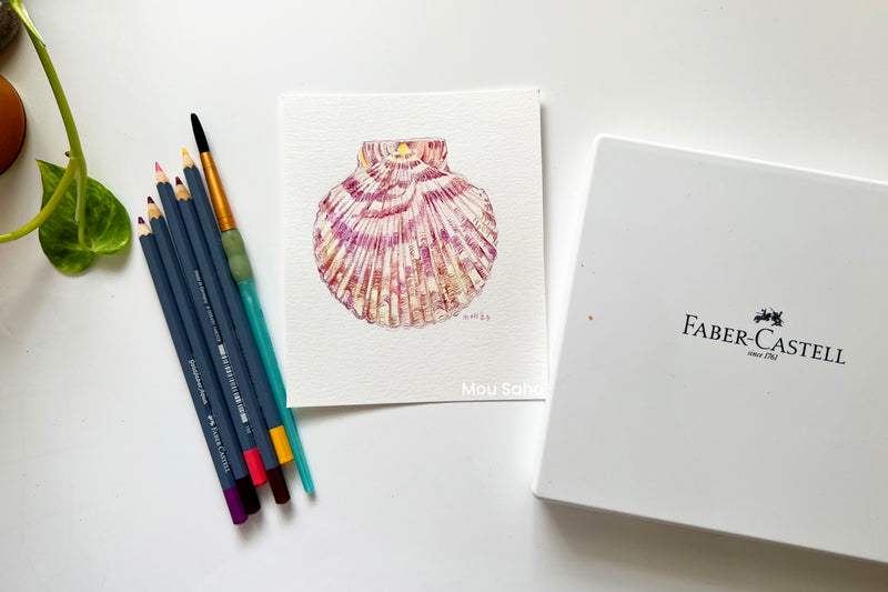 Watercolor seashell with watercolor pencils and pans 