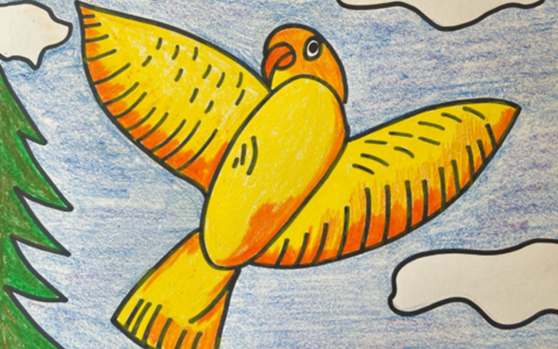 National Pollinators Month Bird Drawing Art Lesson for Kids