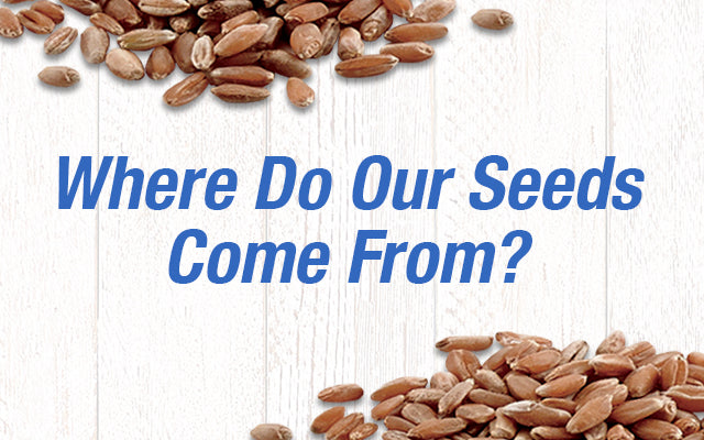 Where Do Our Seeds Come From?