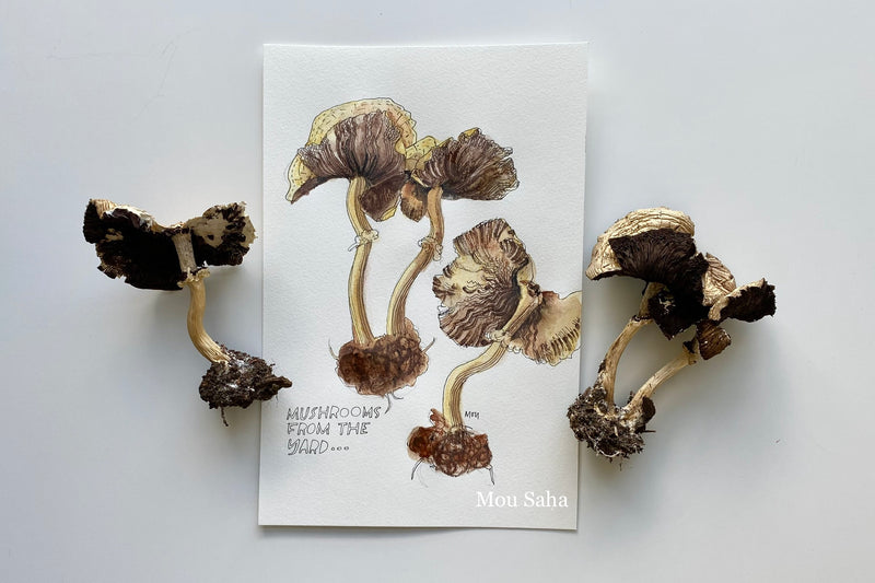 Watercolor mushroom with mushrooms