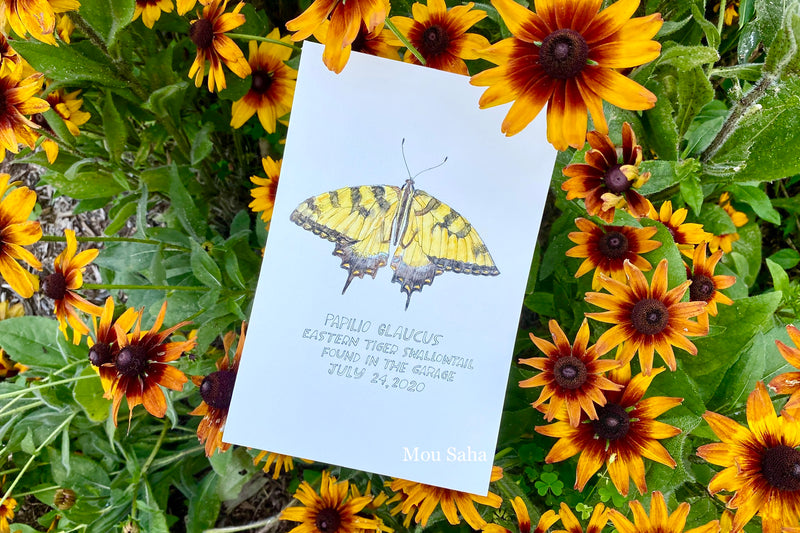 Watercolor butterfly art in yellow flowers