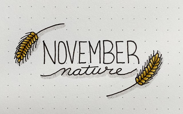 November Nature Doodle
