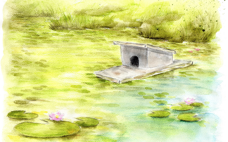 Watercolor pond