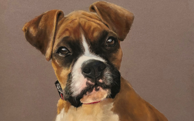 Pastel portrait of dog