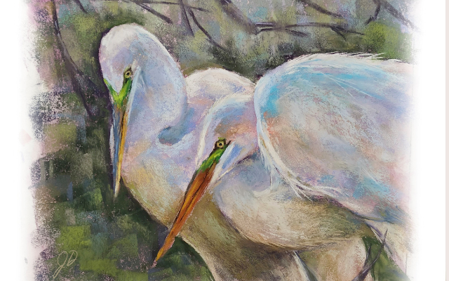 Polychromos Pastel Tips and Techniques