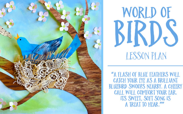 World of Birds Lesson Plan