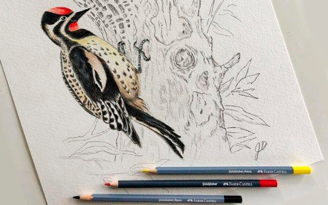 Inspired by Nature: Goldfaber Wood Pecker