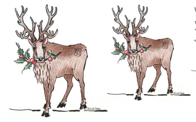 Two colored reindeer