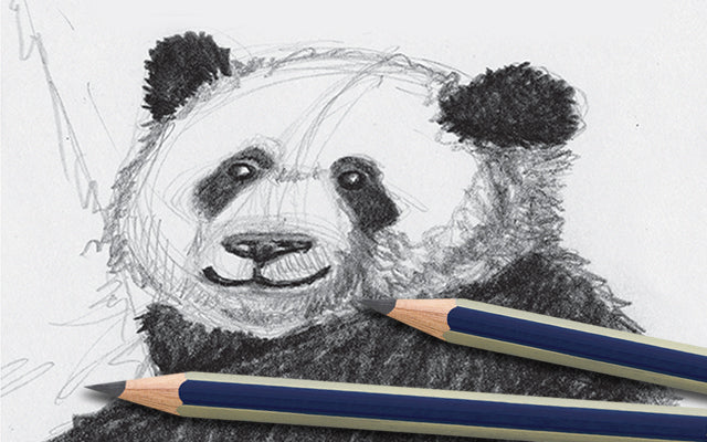 Graphite pencils with panda bear drawing