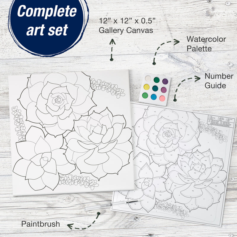 Watercolor Paint by Number Succulents - #770633