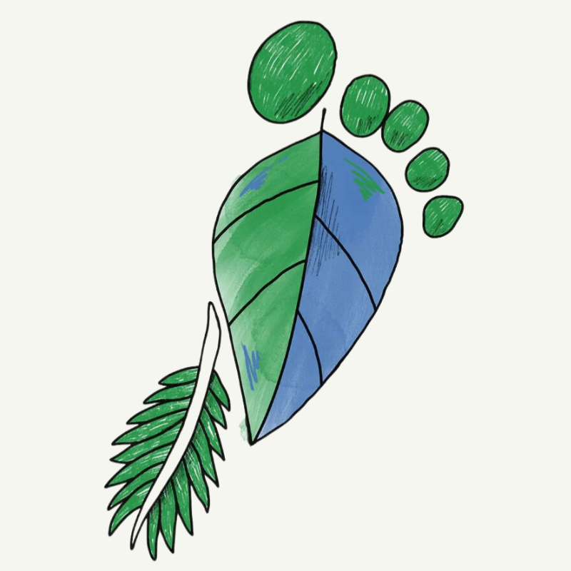 Leaf footprint drawing