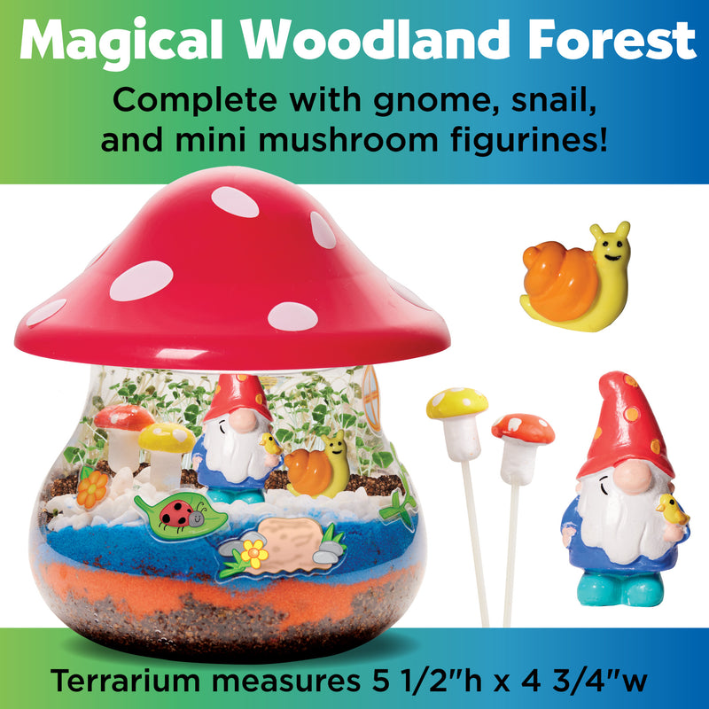 Plant & Grow Woodland Forest - #6363000