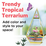 Tropical Terrarium - #6322000