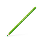 Polychromos® Artists' Color Pencil - #166 Grass Green - #110166