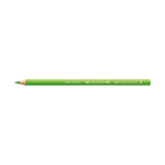 Polychromos® Artists' Color Pencil - #166 Grass Green - #110166