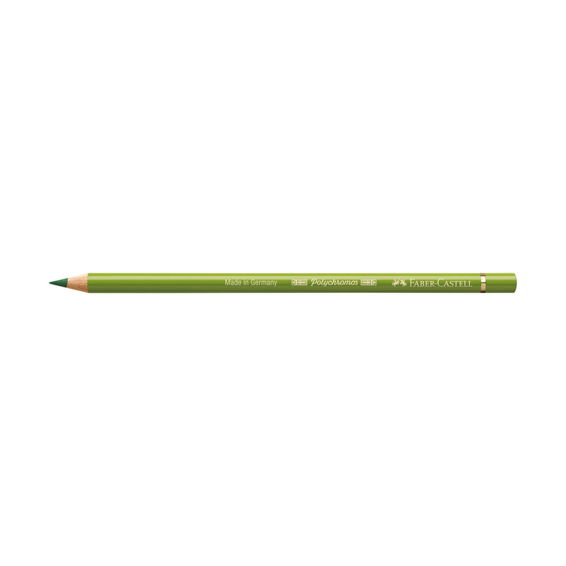 Polychromos® Artists' Color Pencil - #168 Earth Green Yellowish - #110168