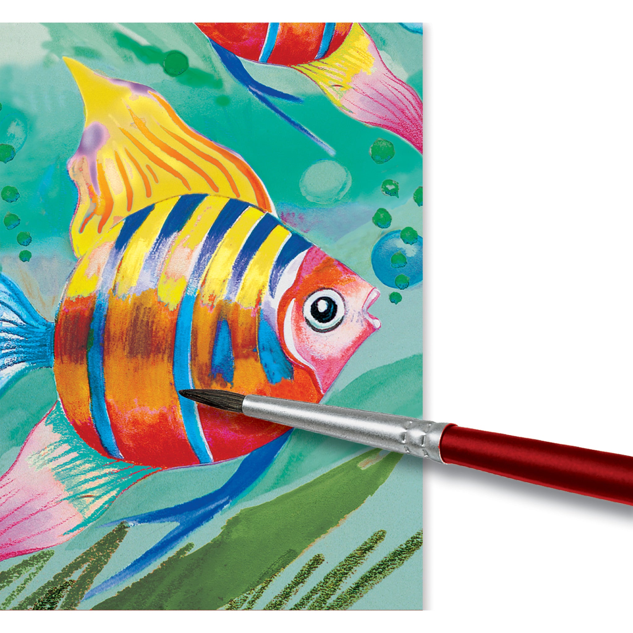 Faber-Castell Water Color Pencils Paint Brush 12 &Erasable Crayon