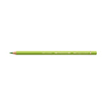 Polychromos® Artists' Color Pencil - #170 May Green - #110170